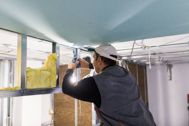 Best Spray Foam Insulation in Canyon Creek, WA