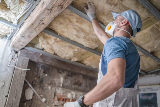 Best Specialized Insulation Services in Canyon Creek, WA